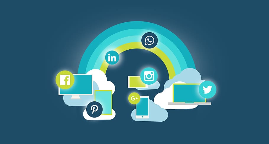 How Social Media Reviews Impact Viral Insurance Sales