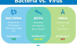 Viral Tech Hacks Loved by Students and Creators Unleashed Viral Tech Hacks Loved by Students and Creators Unleashed