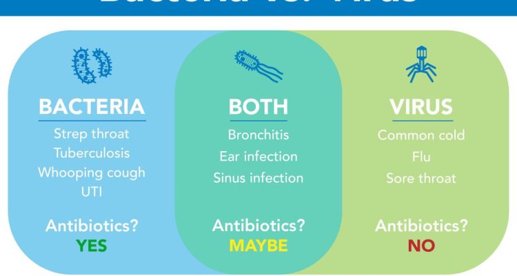 Viral Tech Hacks Loved by Students and Creators Unleashed