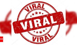 Viral Comparisons of Popular Insurance Products in 2025 Viral Comparisons of Popular Insurance Products in 2025