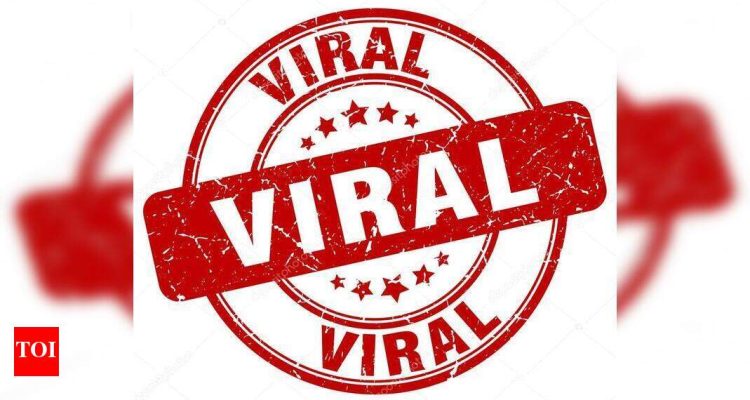 Viral Comparisons of Popular Insurance Products in 2025